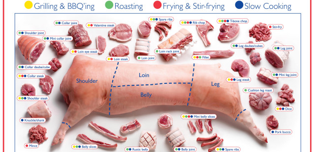 Cuts of Meat from a Pig